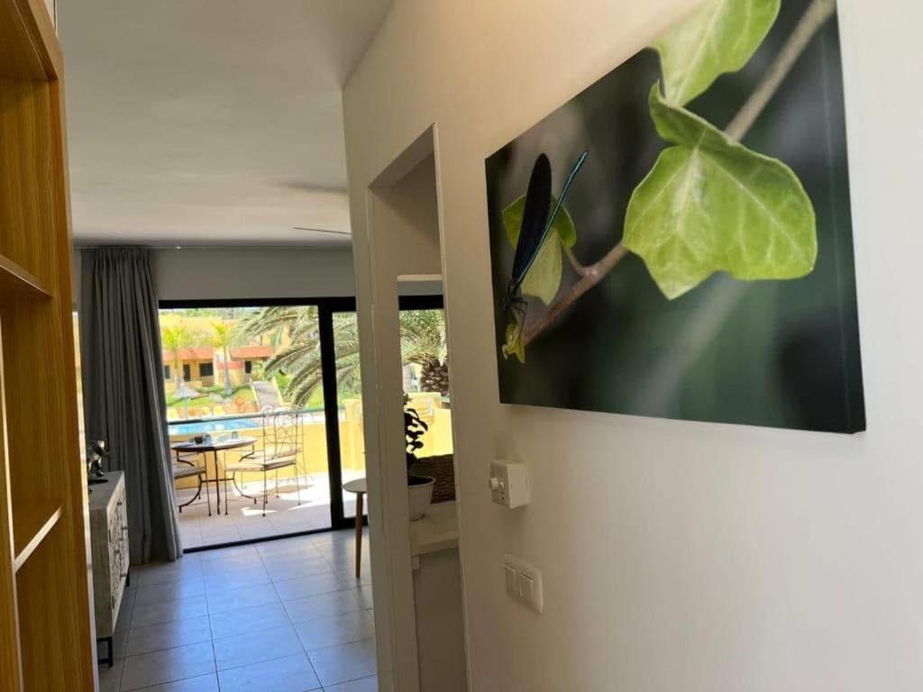 Atlantic Garden Andrew Apartments Pool Air Conditioning Corralejo Exterior photo